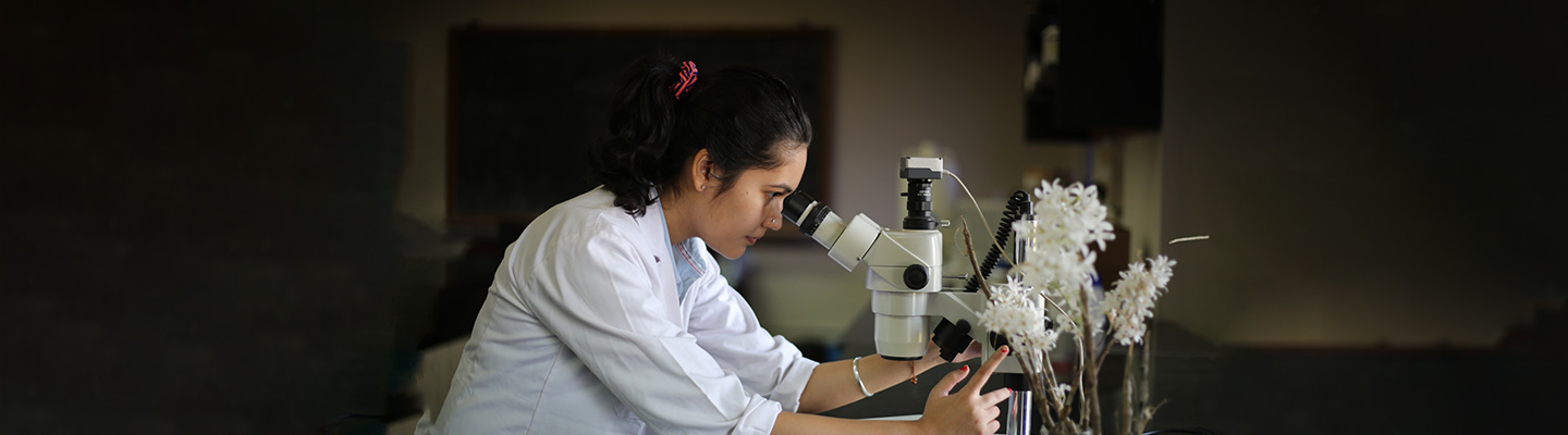 MSc Medical Courses Banner